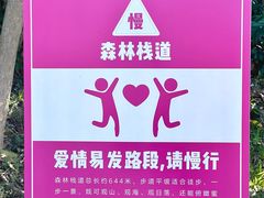 -东澳岛