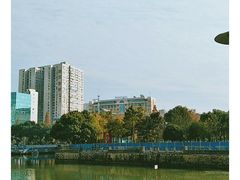 -西北湖绿化广场