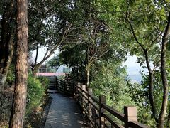 -铁山坪森林公园