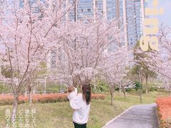 -新江湾城公园