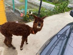 -美家乐农庄·露营·团建(大治路店)