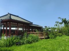 -西安汉城湖景区