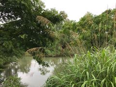 -梁鸿国家湿地公园