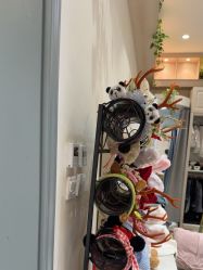 -爱儿美儿童摄影(奥森公园店)