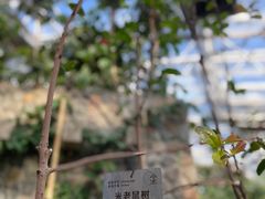 -国家植物园