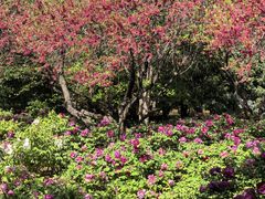 -洛阳市隋唐城遗址植物园