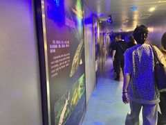 -白鹤梁水下博物馆