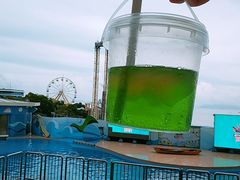 -香港海洋公园