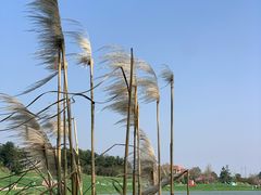 -云漫湖生态度假公园