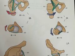 -加伍磅健身(千树店)