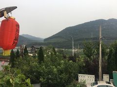 -慢丽江·云南野生菌土鸡锅(西山店)