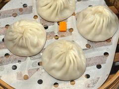 -莱莱小笼·乔艾