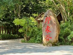 -野象谷景区
