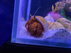 -太平洋海底世界