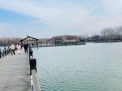 -溱湖国家湿地公园