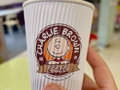 -史努比缤纷世界