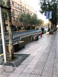 -金太子形象设计