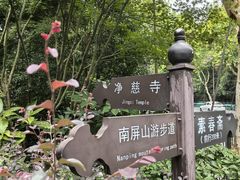 -九曜山