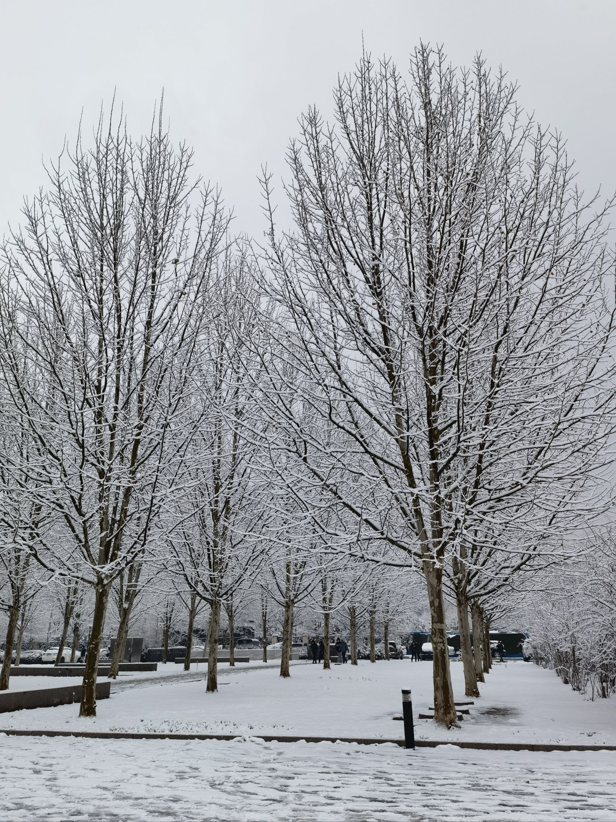 梦到下雪天和男朋友待在一起（梦到下雪天和对象吵架） 梦到下雪天和男朋侪
待在一起（梦到下雪天和对象吵架

） 卜算大全