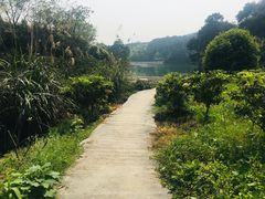 -南山植物园
