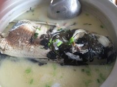 -天乐农家鱼头王(天目湖店)