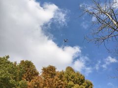 -南汇新城城市公园