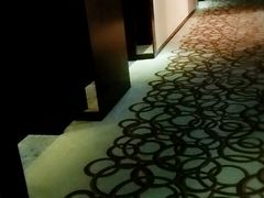 -南桥绿地铂骊酒店