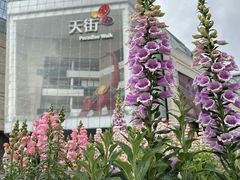 -首开·龙湖成都西宸天街