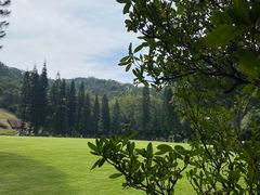 -深圳仙湖植物园