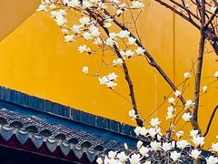 -龙华寺