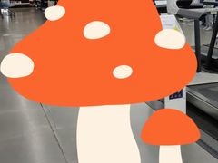 -迪卡侬(香炉礁店)