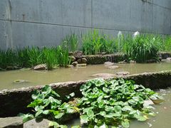 -中国湿地博物馆