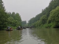 -溱湖国家湿地公园