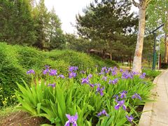 -东升八家郊野公园