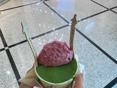 -鹤茶野所(上海首店)