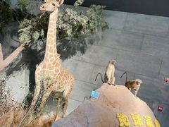 -扬州科技馆