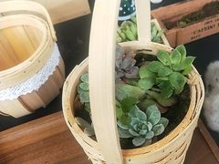 -上海汇之星奔驰4S店(浦东新店)