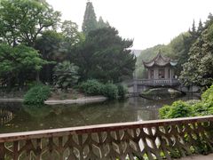 -叶家花园