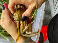 -三辣馆