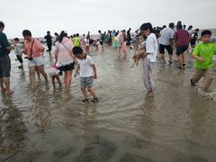 -南汇嘴观海公园