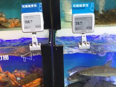 水产区-盒马鲜生(杭州运河上街店)