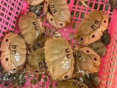 -众味海鲜大排档·活海鲜·潮汕味(南澳店)