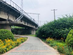 -永定河休闲森林公园