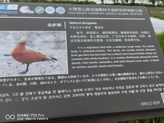 -洱海月湿地公园