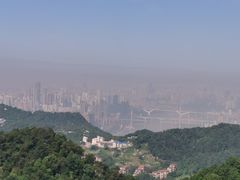 -大金鹰园