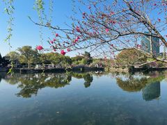 -无锡蠡湖国家湿地公园-蠡园