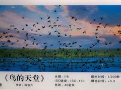 -泗洪洪泽湖湿地景区