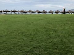 -夏威夷珍珠港