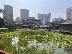 -龙潭水乡