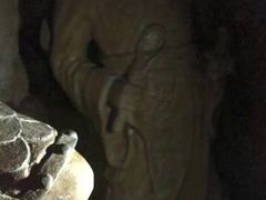 -皇藏峪国家森林公园